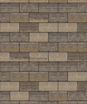 Тротуарная плитка Прямоугольник 200х100х80 мм, Доломит