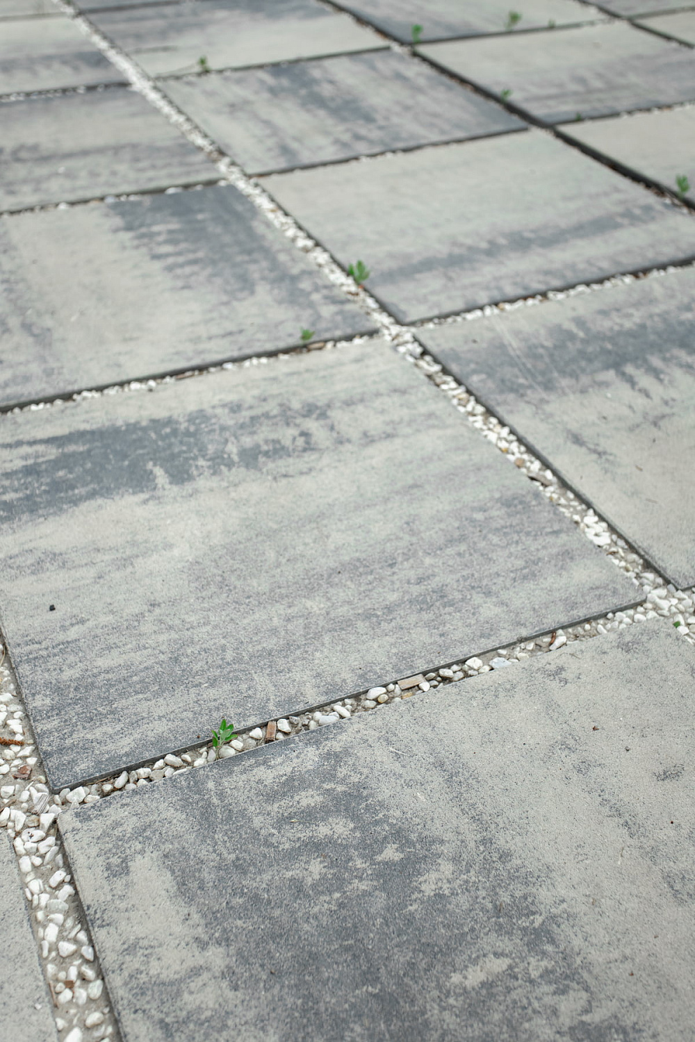 Благоустройство коттеджа в Перевалово, Чистые пруды