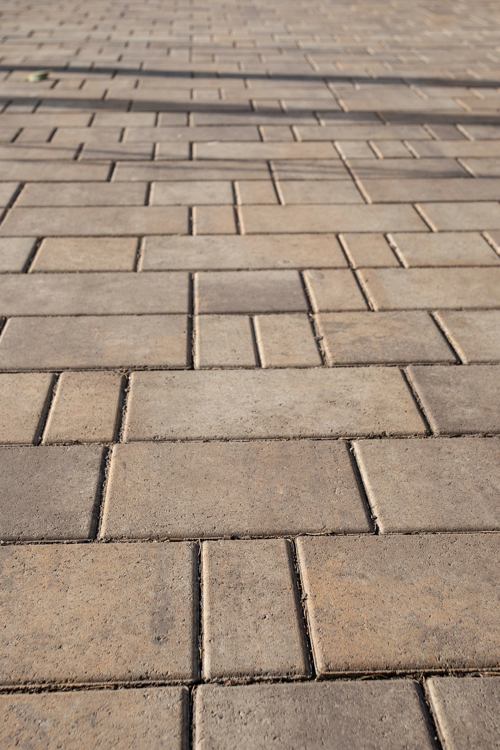 Сквер Радужный в Тюмени